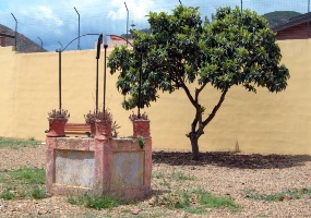 Biblioteca comunale, antico pozzo nel cortile Biblioteca comunale, antico pozzo nel cortile