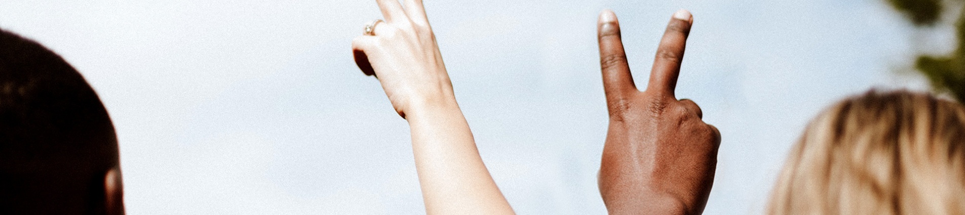 Integrazione sociale Integrazione sociale