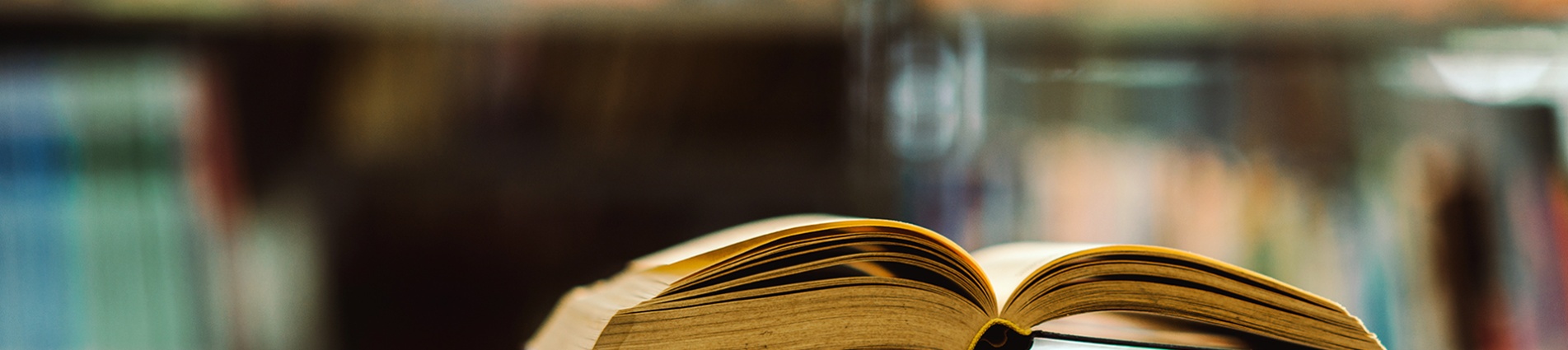 Libri in biblioteca Libri in biblioteca