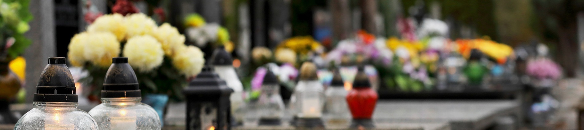 Fiori in cimitero Fiori in cimitero